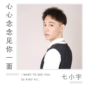 Listen to 心心念念见你一面 (伴奏) song with lyrics from 七小宇