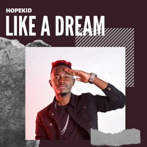 Album Like a Dream from 