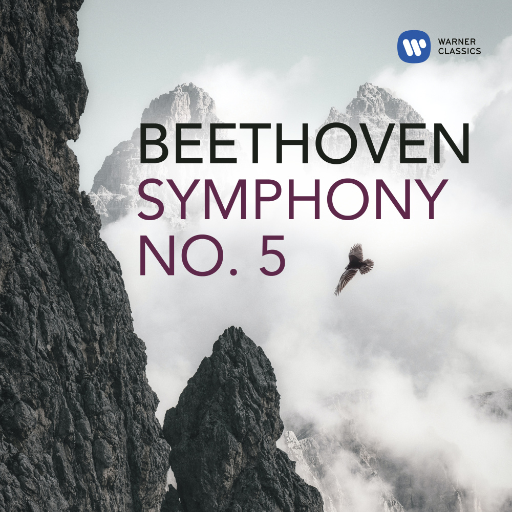 Symphony No. 5 in C Minor, Op. 67: I. Allegro con brio