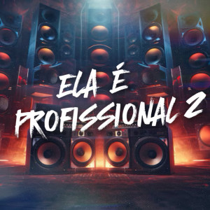 อัลบัม Ela É Profissional 2 (Explicit) ศิลปิน Mc Menor Do Alvorada