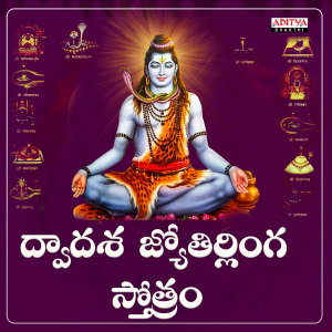 Album Dwadasa Jyothirlinga Stotram oleh Srinidhi