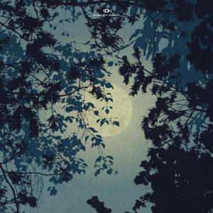 ดาวน์โหลดและฟังเพลง Lunar Walk พร้อมเนื้อเพลงจาก Elijah the Alchemist