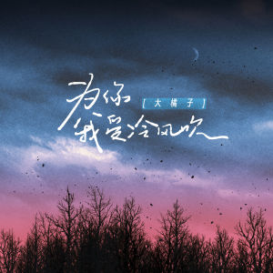 Album 为你我受冷风吹 from 大橘子