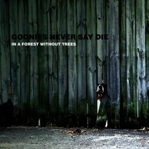 ดาวน์โหลดและฟังเพลง Don't Fight The Fire, F**k The Arsonist พร้อมเนื้อเพลงจาก Goonies Never Say Die