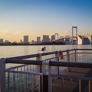 收聽Nj Ho的東京荒 · Don't 驚慌歌詞歌曲