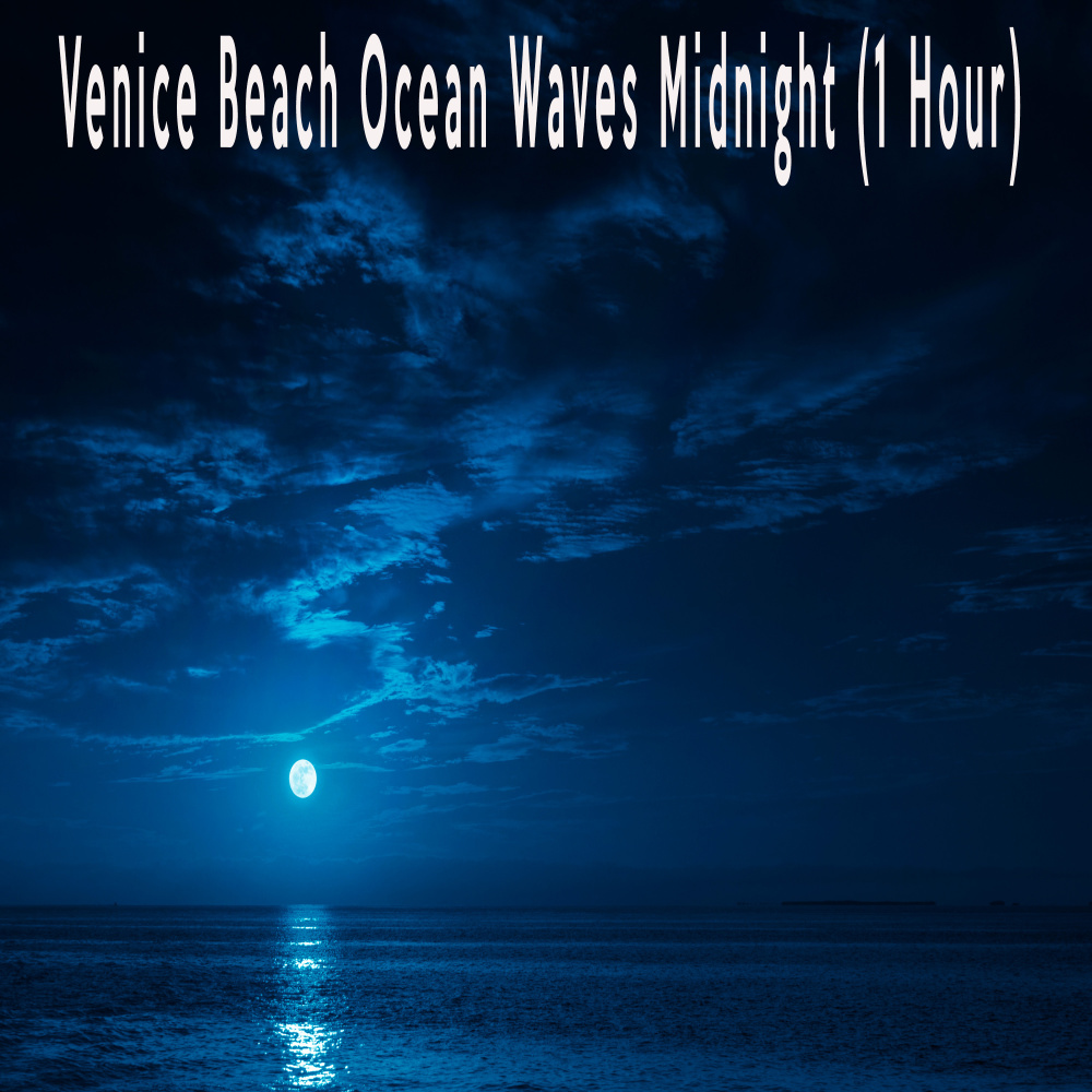 Venice Beach Ocean Waves Midnight (1 Hour)