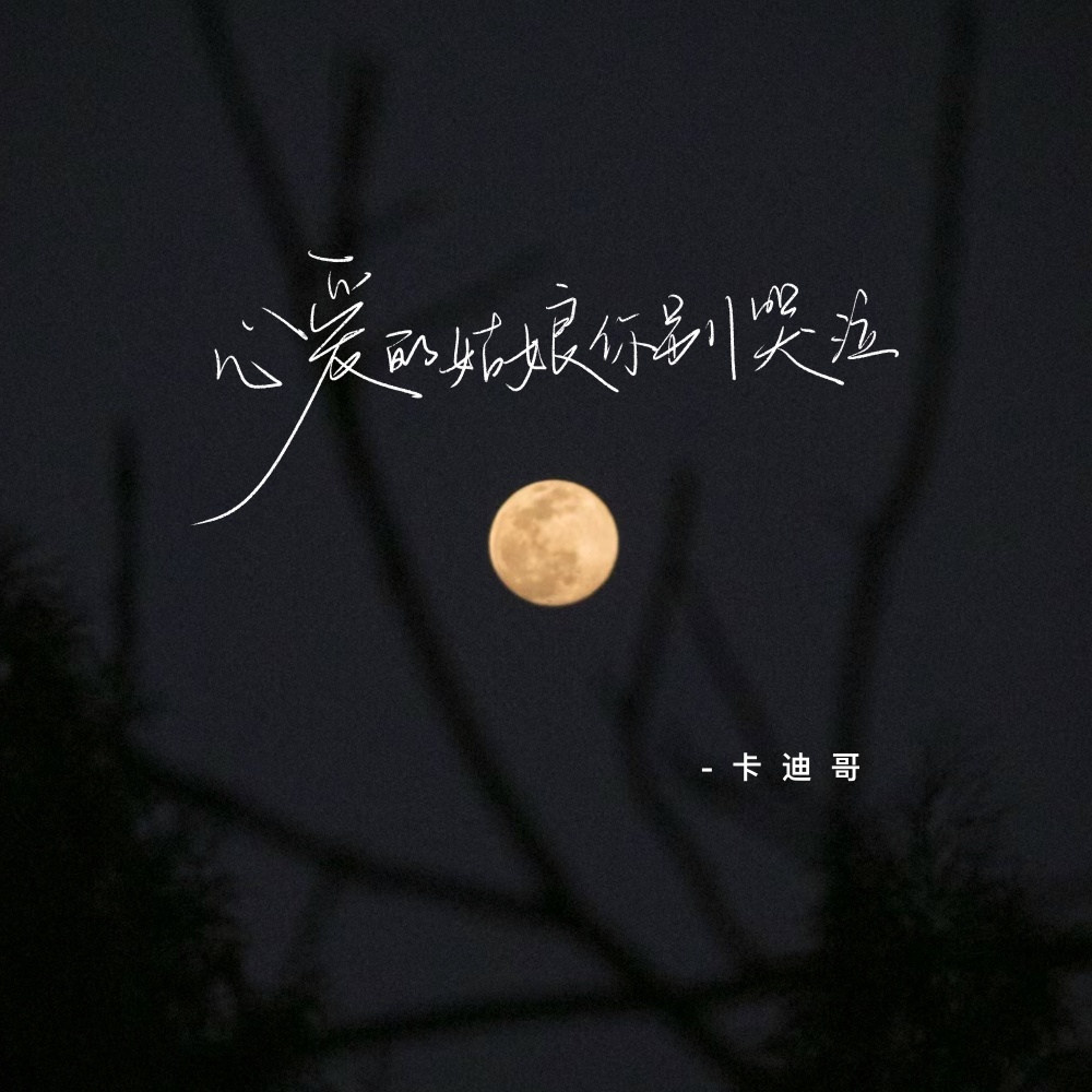 心爱的姑娘你别哭泣 (伴奏)