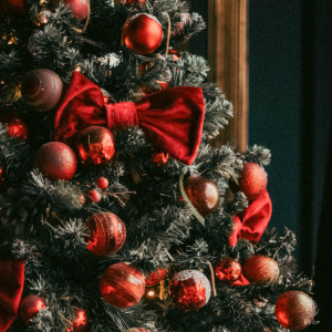 Forest of Piano的專輯Beautiful Christmas