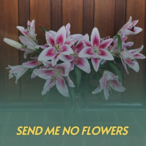 收听Doris Day的Send Me No Flowers歌词歌曲
