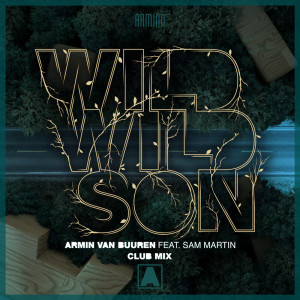 Listen to Wild Wild Son (Extended Club Mix) song with lyrics from Armin Van Buuren