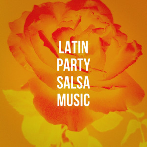Album Latin Party Salsa Music from Various Artists