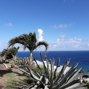 收聽Decoder & Substance的You is deh one (Clean)歌詞歌曲