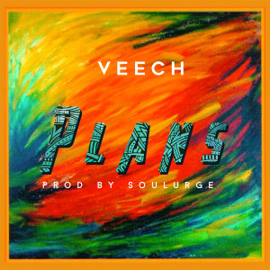 Album Plans from Veech