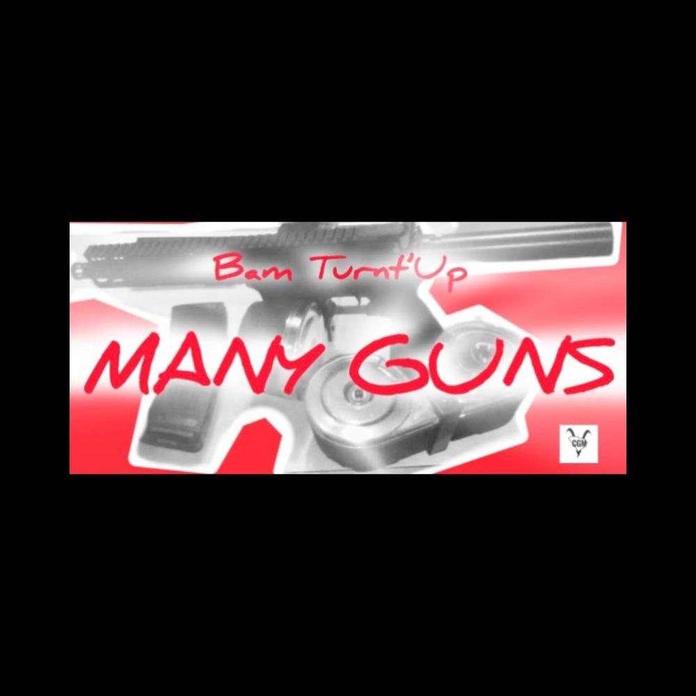 Many Guns (Explicit)