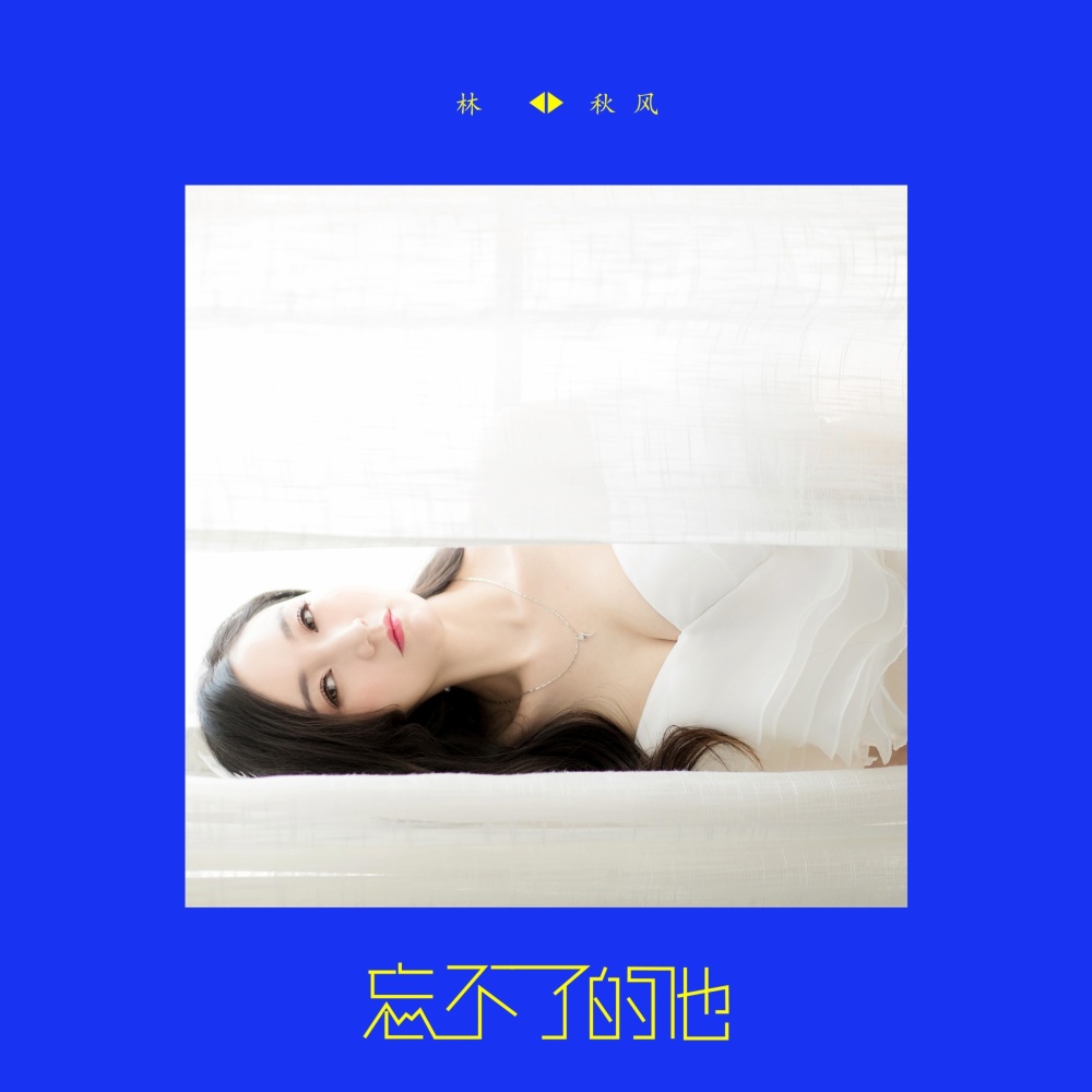 忘不了的他（DJ阿卓版） (伴奏)