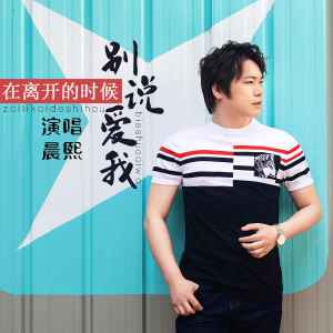 Listen to 在离开的时候别说爱我 song with lyrics from 晨熙