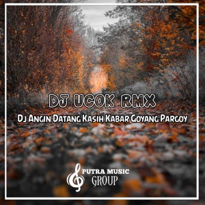收听Rudi Rmx的Dj Angin Datang Kasih Kabar Goyang Pargoy歌词歌曲