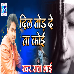 Album Tor De Na Koi from Raja Bhai