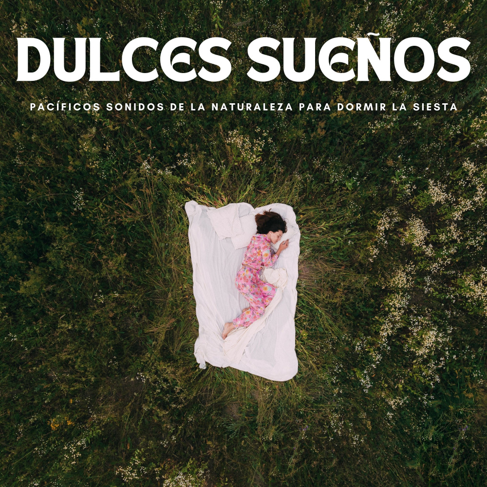 En Mis Sueños