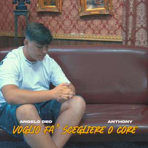Listen to Voglio fa' scegliere o core song with lyrics from Angelo Carideo