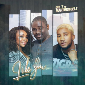 Album Like You from Dr. T