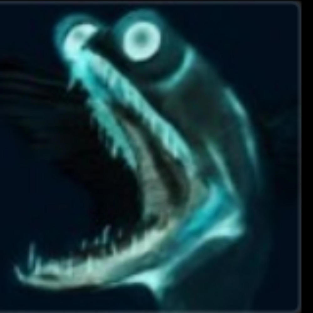 fish (Explicit)