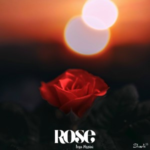 ROSE dari Ivan Nasini