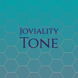 Various Artists的專輯Joviality Tone