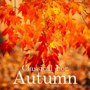 收听Oslo Chamber Orchestra的Concerto Grosso No 10, Op 6: V歌词歌曲