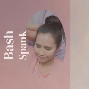 Various Artists的專輯Bash Spank