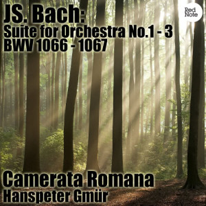 ดาวน์โหลดและฟังเพลง Suite For Orchestra No.1 in C Major, BWV 1066: VII. Passepied พร้อมเนื้อเพลงจาก Camerata Romana