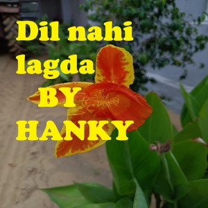 收聽Hanky的Dil nahi lagda歌詞歌曲