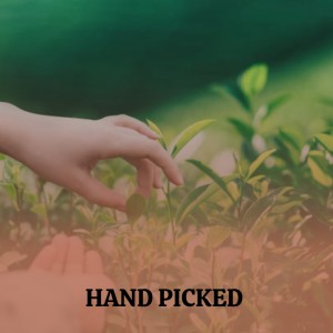 收听Enoch Light & The Light Brigade的One OClock Jump歌词歌曲