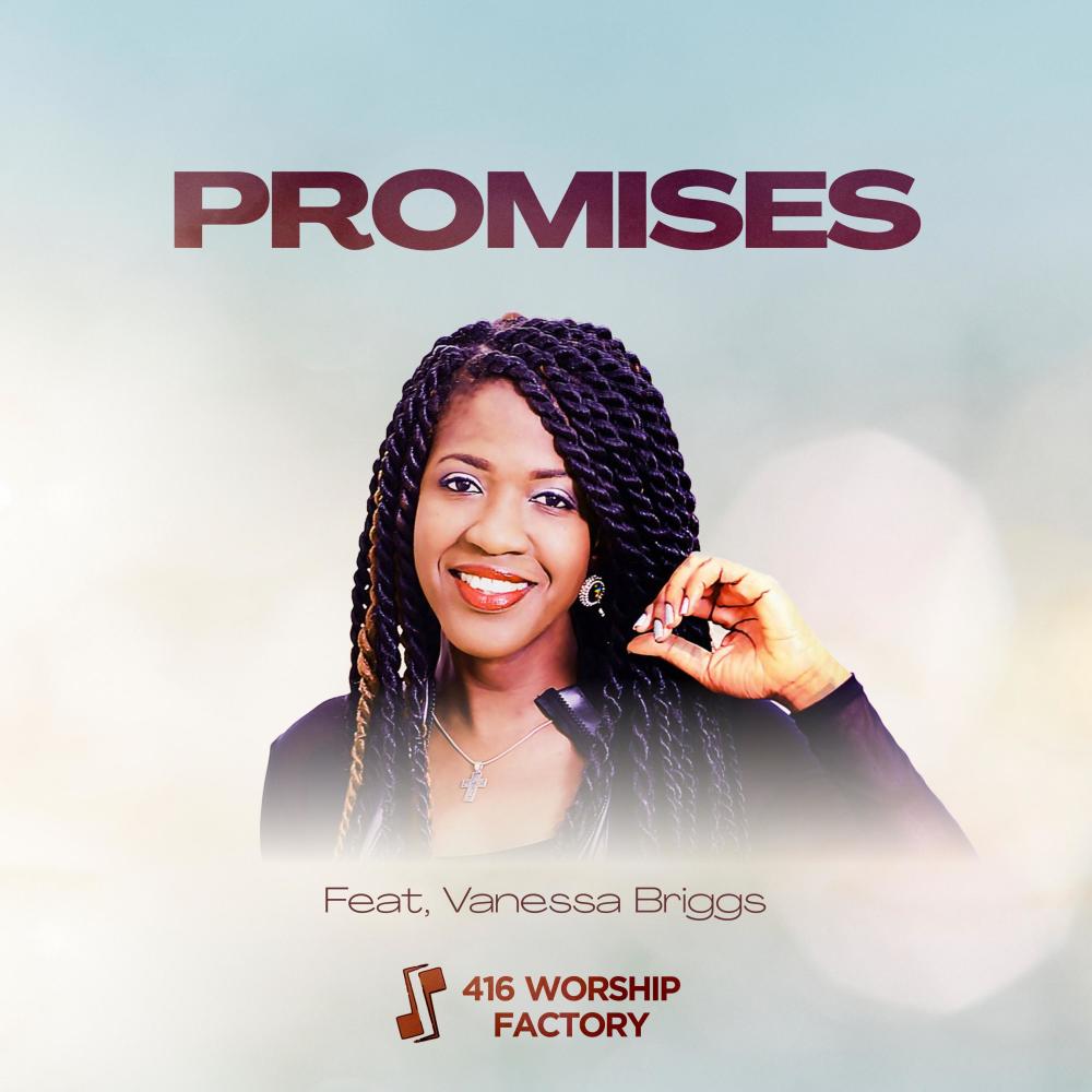 Promises (Long Lasting) (feat. Vanessa Briggs)