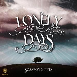 收聽Sosaboy的Lonely Days (feat. Peta) (Explicit)歌詞歌曲
