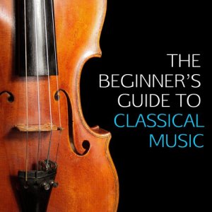 ดาวน์โหลดและฟังเพลง Hungarian Dance No. 5 in G Minor พร้อมเนื้อเพลงจาก Various Artists