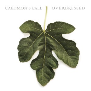 ดาวน์โหลดและฟังเพลง There Is a Reason พร้อมเนื้อเพลงจาก Caedmon's Call