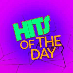 Todays Hits 2015的專輯Hits of the Day