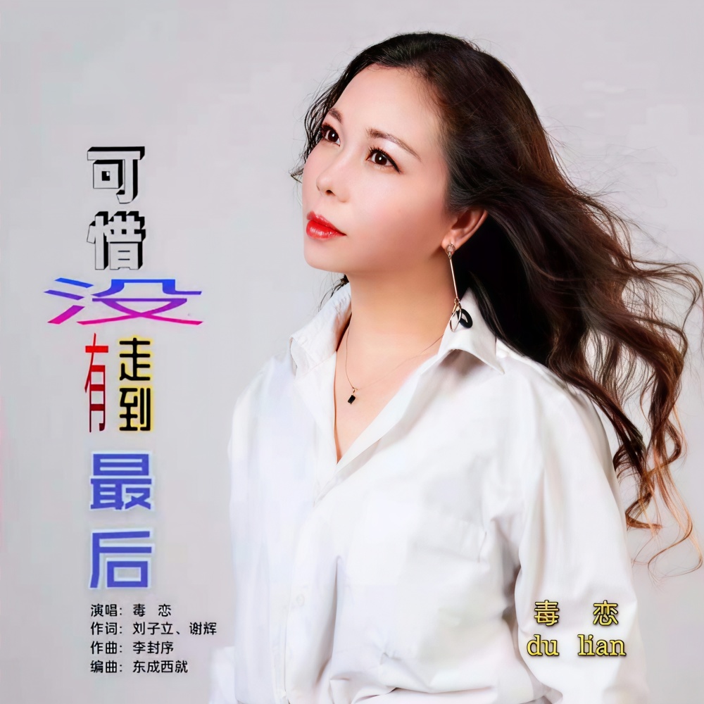 可惜没有走到最后 (伴奏)