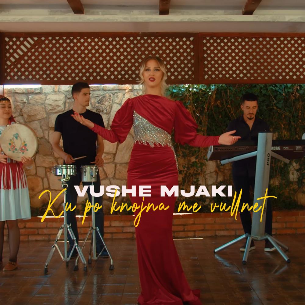 Ku po knojna me vullnet