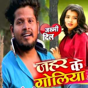 收听Dhananjay Jatav的Jahar Ke Goliya歌词歌曲