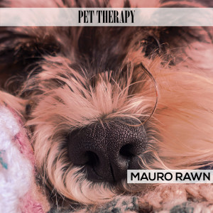 ดาวน์โหลดและฟังเพลง Love Animals พร้อมเนื้อเพลงจาก Mauro Rawn