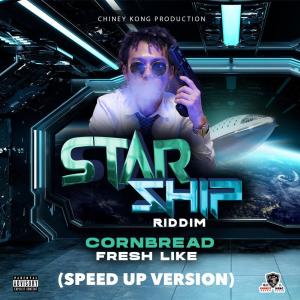 Listen to Fresh Like (Speed Up Version) (Explicit) song with lyrics from CORNBREAD