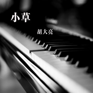 收听胡大亮的小草歌词歌曲