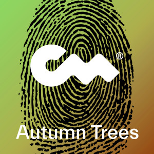Listen to Autumn Trees song with lyrics from Tony Pascall
