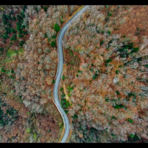 ดาวน์โหลดและฟังเพลง Essence of Happiness พร้อมเนื้อเพลงจาก Spa Music Relaxation