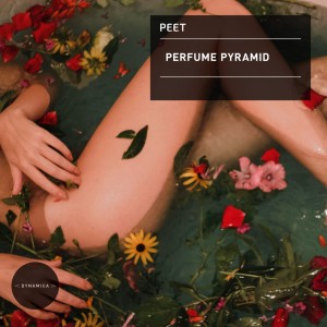 Listen to The Drydown (Original Mix) song with lyrics from Peet