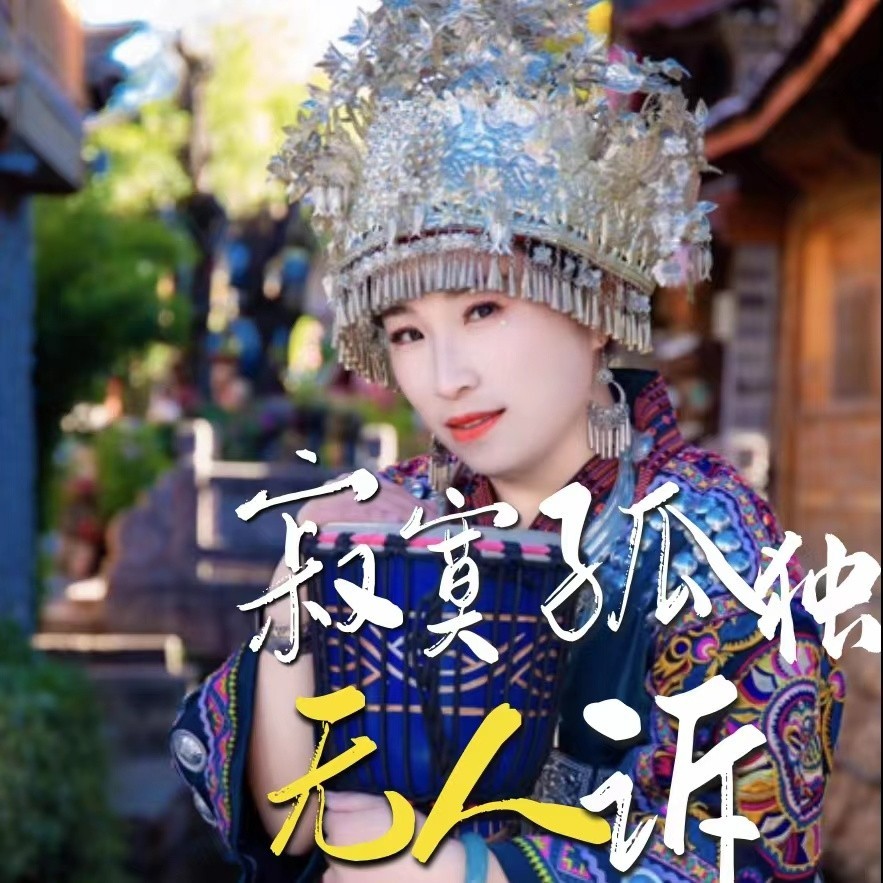 寂寞孤独无人诉（DJ版） (完整版)