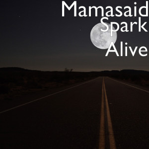 Mamasaid的专辑Spark Alive