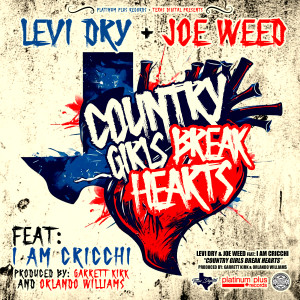 Levi Dry的專輯Country Girls Break Hearts